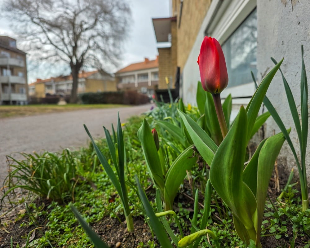 S Ringgatan 2, 267 31, BJUV